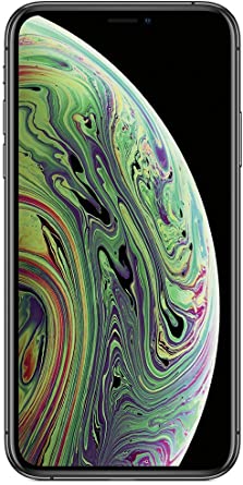 Apple iPhone XS (64 GB) - Gris espacial